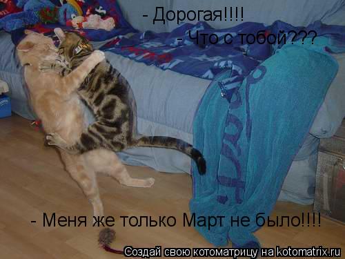 Котоматрица: - Дорогая!!!!  - Что с тобой???  - Меня же только Март не было!!!!