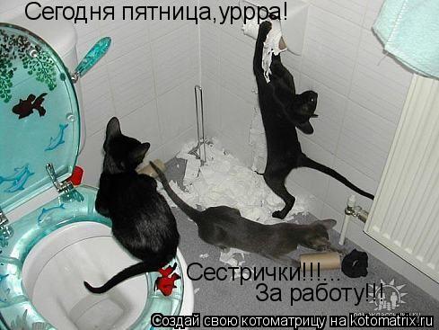 Сегодня пятница,уррра! Сестрички!!!... За работу!!!... Котоматрица: Сегодня пятница,уррра! Сестрички!!!... За работу!!!