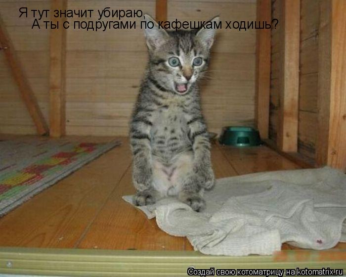 Я тут значит убираю, А ты с подругами по кафешкам ходишь?... Котоматрица: Я тут значит убираю, А ты с подругами по кафешкам ходишь?