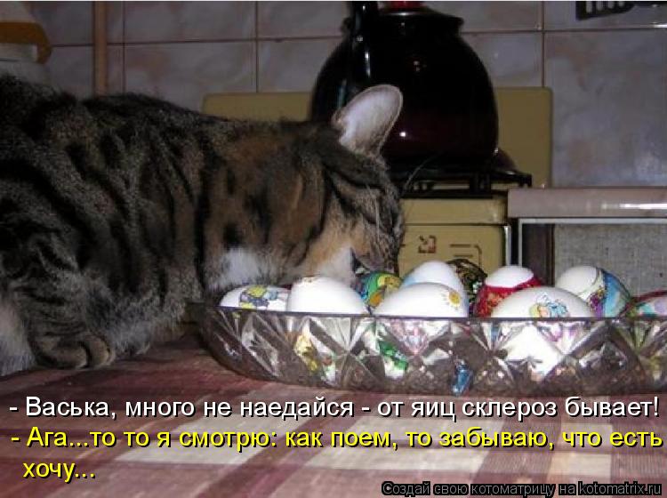 Котоматрица: - Ага...то то я смотрю: как поем, то забываю, что есть хочу... - Васька, много не наедайся - от яиц склероз бывает!