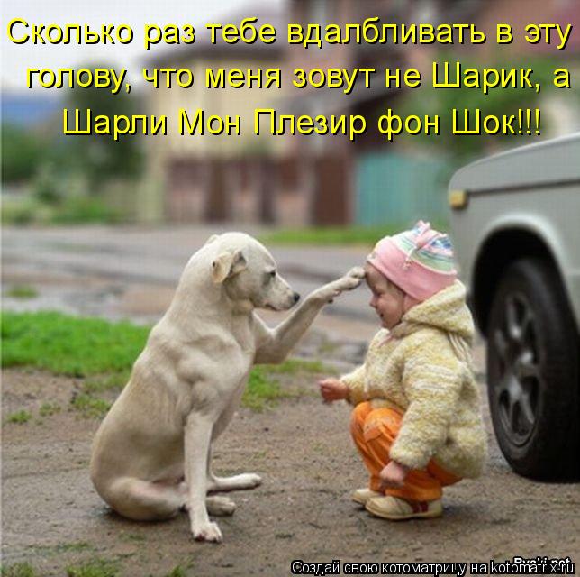 Сколько раз тебе вдалбливать в эту голову, что меня зовут не Шарик, а Шарли Мон Плезир фон Шок!!!... Котоматрица: Сколько раз тебе вдалбливать в эту голову, что меня зовут не Шарик, а Шарли Мон Плезир фон Шок!!!