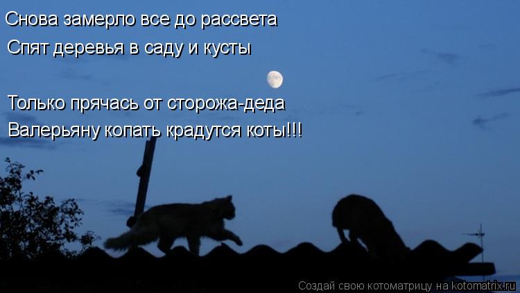 Снова замерло все до рассвета Спят деревья в саду и кусты Только прячась от сторожа-деда Валерьяну ко... Котоматрица: Снова замерло все до рассвета Спят деревья в саду и кусты Только прячась от сторожа-деда Валерьяну копать крадутся коты!!!