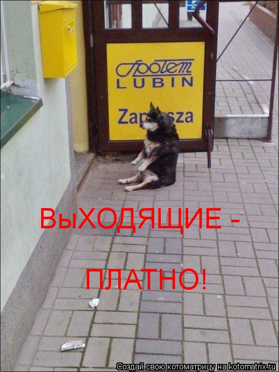 ВыХОДЯЩИЕ - ПЛАТНО!... Котоматрица: ВыХОДЯЩИЕ - ПЛАТНО!
