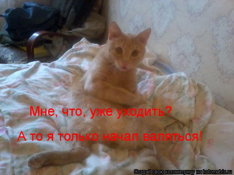А то я только начал валяться! Мне, что, уже уходить?... Котоматрица: А то я только начал валяться! Мне, что, уже уходить?
