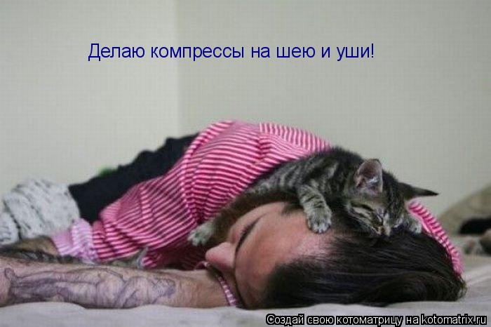 Делаю компрессы на шею и уши!... Котоматрица: Делаю компрессы на шею и уши!