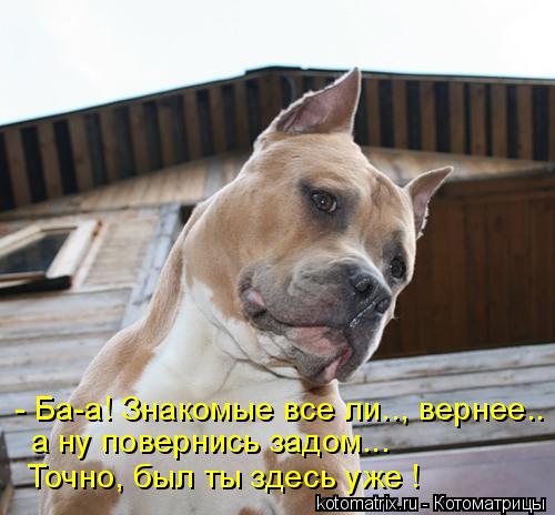 - Ба-а! Знакомые все ли.., вернее.. а ну повернись задом... Точно, был ты здесь уже !... Котоматрица: - Ба-а! Знакомые все ли.., вернее.. а ну повернись задом... Точно, был ты здесь уже !