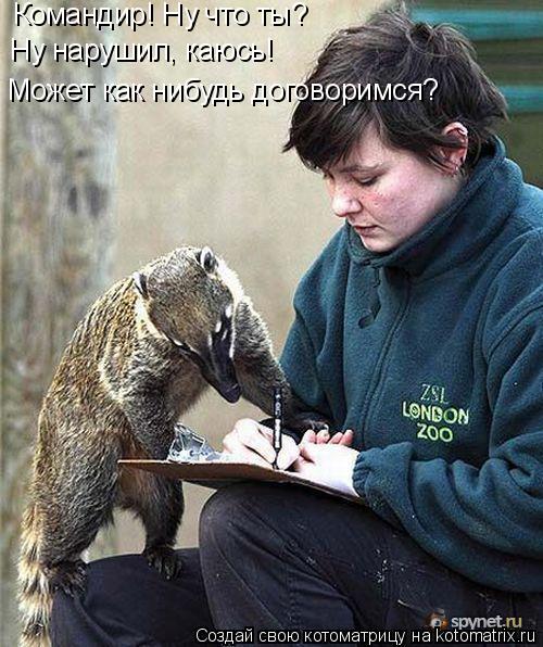 Командир! Ну что ты? Ну нарушил, каюсь! Может как нибудь договоримся?... Котоматрица: Командир! Ну что ты? Ну нарушил, каюсь! Может как нибудь договоримся?