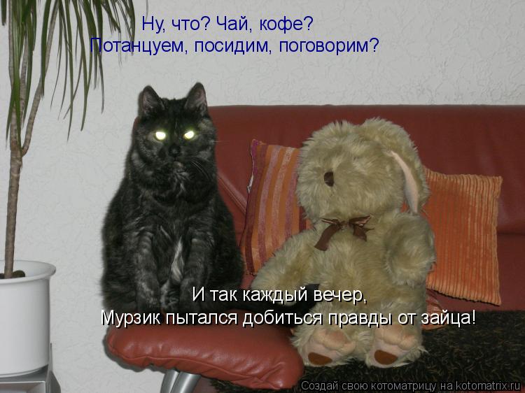 Ну, что? Чай, кофе? Потанцуем, посидим, поговорим? И так каждый вечер, Мурзик пытался добиться прав... Котоматрица: Ну, что? Чай, кофе? Потанцуем, посидим, поговорим? И так каждый вечер, Мурзик пытался добиться правды от зайца!