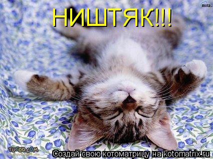 НИШТЯК!!!... Котоматрица: НИШТЯК!!!