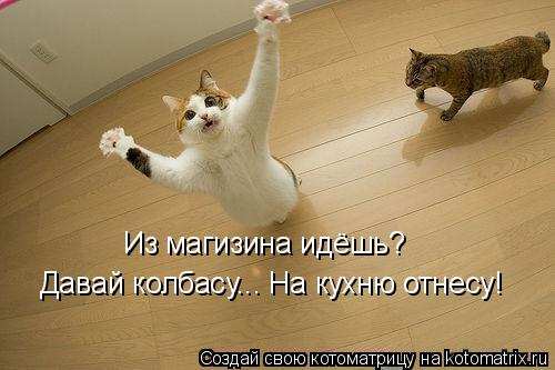 Из магизина идёшь? Давай колбасу... На кухню отнесу!... Котоматрица: Из магизина идёшь? Давай колбасу... На кухню отнесу!