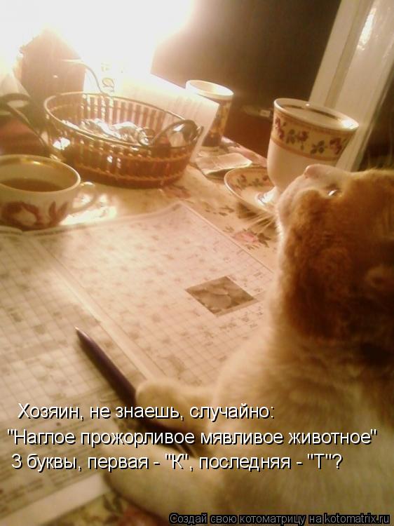 Хозяин, не знаешь, случайно: "Наглое прожорливое мявливое животное" 3 буквы, первая - "К", последняя... Котоматрица: Хозяин, не знаешь, случайно: "Наглое прожорливое мявливое животное" 3 буквы, первая - "К", последняя - "Т"?