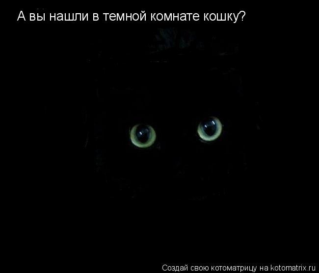 А вы нашли в темной комнате кошку?... Котоматрица: А вы нашли в темной комнате кошку?