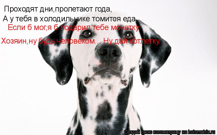Проходят дни,пролетают года, А у тебя в холодильнике томится еда, , Хозяин,ну будь человеком... Ну да... Котоматрица: Проходят дни,пролетают года, А у тебя в холодильнике томится еда, , Хозяин,ну будь человеком... Ну дай котлетку... Если б мог,я б подарил тебе мо