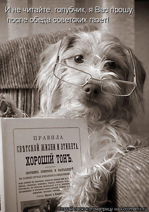 И не читайте, голубчик, я Вас прошу, после обеда советских газет!... Котоматрица: И не читайте, голубчик, я Вас прошу, после обеда советских газет!