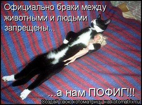 Официально браки между животными и людьми запрещены... ...а нам ПОФИГ!!!... Котоматрица: Официально браки между животными и людьми запрещены... ...а нам ПОФИГ!!!
