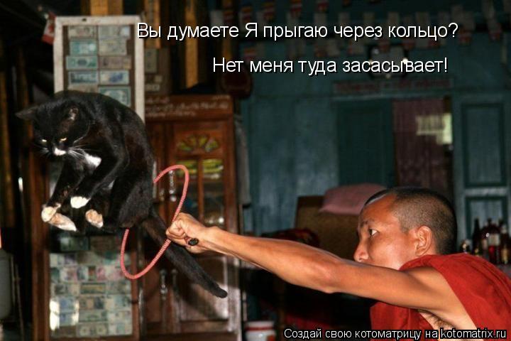 Вы думаете Я прыгаю через кольцо? Нет меня туда засасывает!... Котоматрица: Вы думаете Я прыгаю через кольцо? Нет меня туда засасывает!