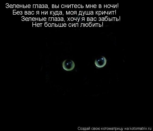Зеленые глаза, вы снитесь мне в ночи! Без вас я ни куда, моя душа кричит! Зеленые глаза, хочу я вас з... Котоматрица: Зеленые глаза, вы снитесь мне в ночи! Без вас я ни куда, моя душа кричит! Зеленые глаза, хочу я вас забыть! Нет больше сил любить!