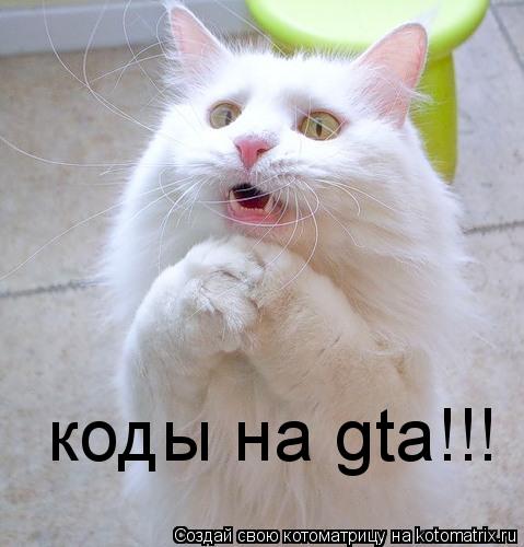 коды на gta!!!... Котоматрица: коды на gta!!!