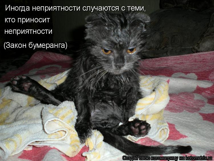 Иногда неприятности случаются с теми, кто приносит неприятности (Закон бумеранга)... Котоматрица: Иногда неприятности случаются с теми, кто приносит неприятности (Закон бумеранга)