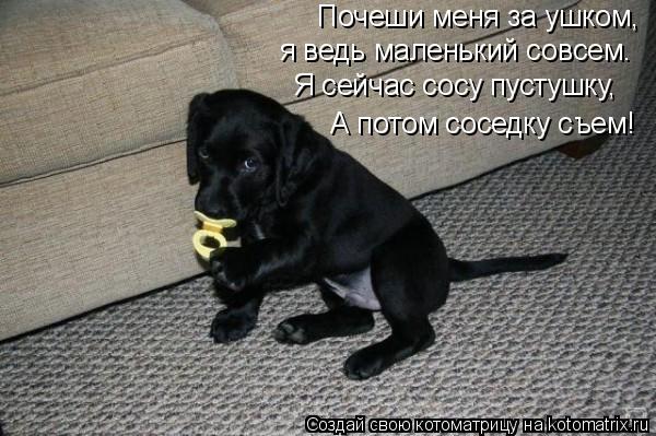 Почеши меня за ушком, я ведь маленький совсем. Я сейчас сосу пустушку, А потом соседку съем!... Котоматрица: Почеши меня за ушком, я ведь маленький совсем. Я сейчас сосу пустушку, А потом соседку съем!
