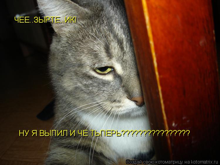 Котоматрица: ЧЕЕ..ЗЫРТЕ..ИК! НУ Я ВЫПИЛ И ЧЕ ТЬПЕРЬ????????????????
