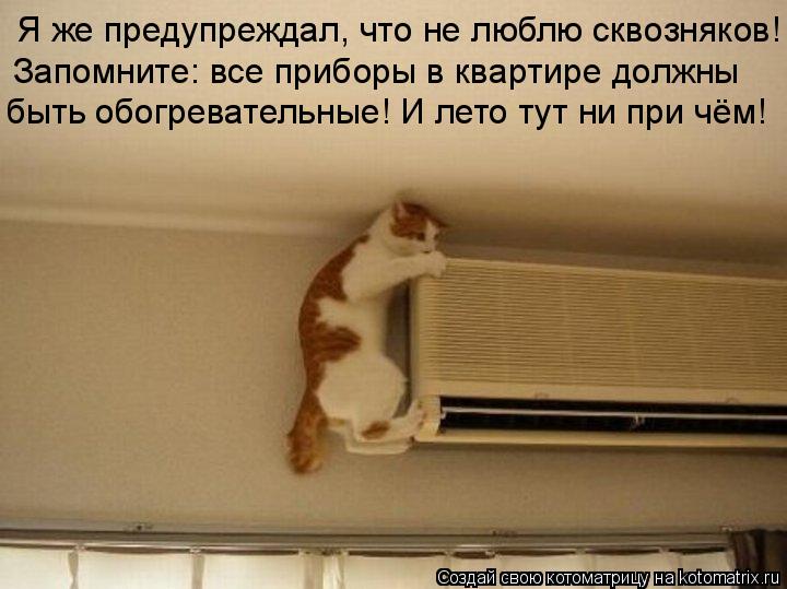 Я же предупреждал, что не люблю сквозняков! Запомните: все приборы в квартире должны быть обогревате... Котоматрица: Я же предупреждал, что не люблю сквозняков! Запомните: все приборы в квартире должны быть обогревательные! И лето тут ни при чём!