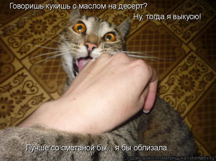 Котоматрица: Говоришь кукишь с маслом на десерт? Ну, тогда я выкусю! Лучше со сметаной бы... я бы облизала...