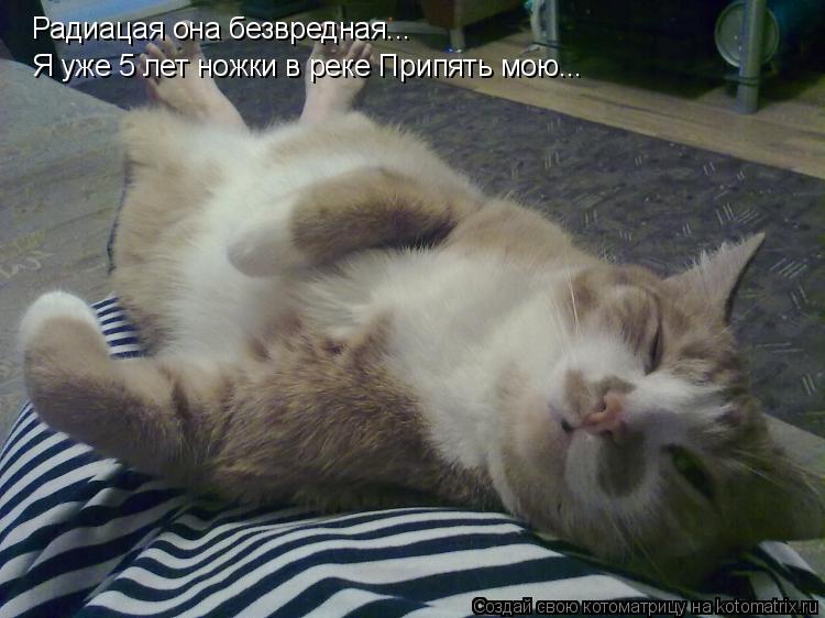 Радиацая она безвредная... Я уже 5 лет ножки в реке Припять мою...... Котоматрица: Радиацая она безвредная... Я уже 5 лет ножки в реке Припять мою...