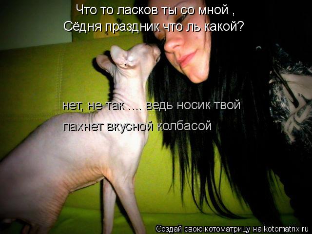 Что то ласков ты со мной , Сёдня праздник что ль какой? нет, не так .... ведь носик твой пахнет вкусн... Котоматрица: Что то ласков ты со мной , Сёдня праздник что ль какой? нет, не так .... ведь носик твой пахнет вкусной колбасой