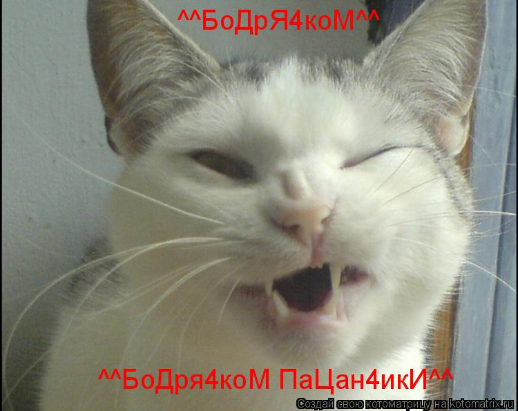 ^^БоДрЯ4коМ^^ ^^БоДря4коМ ПаЦан4икИ^^... Котоматрица: ^^БоДрЯ4коМ^^ ^^БоДря4коМ ПаЦан4икИ^^