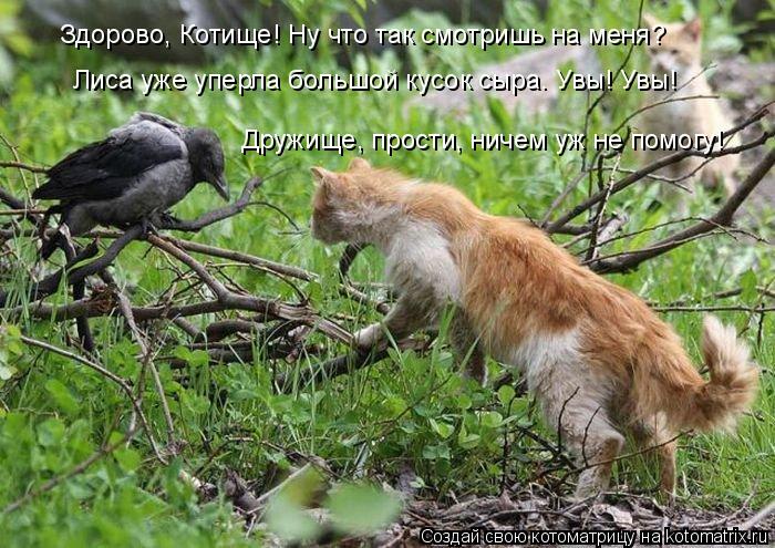 Здорово, Котище! Ну что так смотришь на меня? Лиса уже уперла большой кусок сыра. Увы! Увы! Дружище, ... Котоматрица: Здорово, Котище! Ну что так смотришь на меня? Лиса уже уперла большой кусок сыра. Увы! Увы! Дружище, прости, ничем уж не помогу!