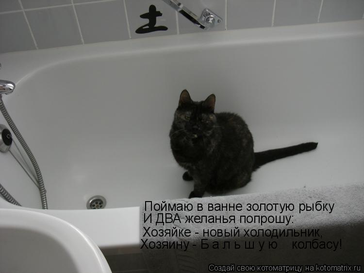 Поймаю в ванне золотую рыбку И ДВА желанья попрошу: Хозяйке - новый холодильник, Хозяину - Б а л ь ш... Котоматрица: Поймаю в ванне золотую рыбку И ДВА желанья попрошу: Хозяйке - новый холодильник, Хозяину - Б а л ь ш у ю колбасу!