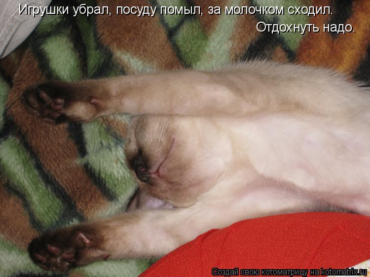 Игрушки убрал, посуду помыл, за молочком сходил. Отдохнуть надо.... Котоматрица: Игрушки убрал, посуду помыл, за молочком сходил. Отдохнуть надо.