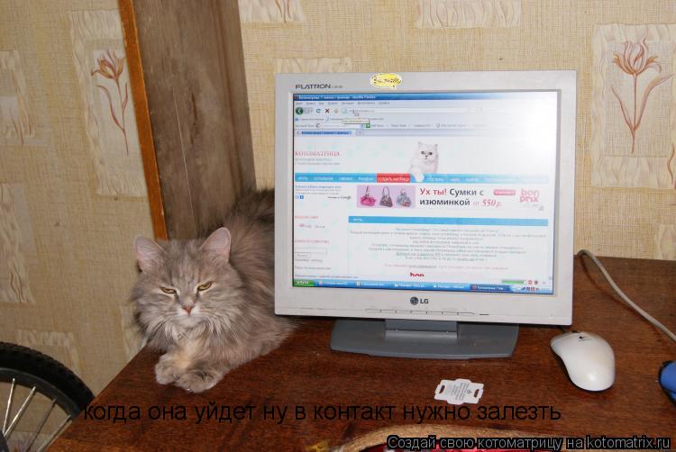 когда она уйдет ну в контакт нужно залезть... Котоматрица: когда она уйдет ну в контакт нужно залезть