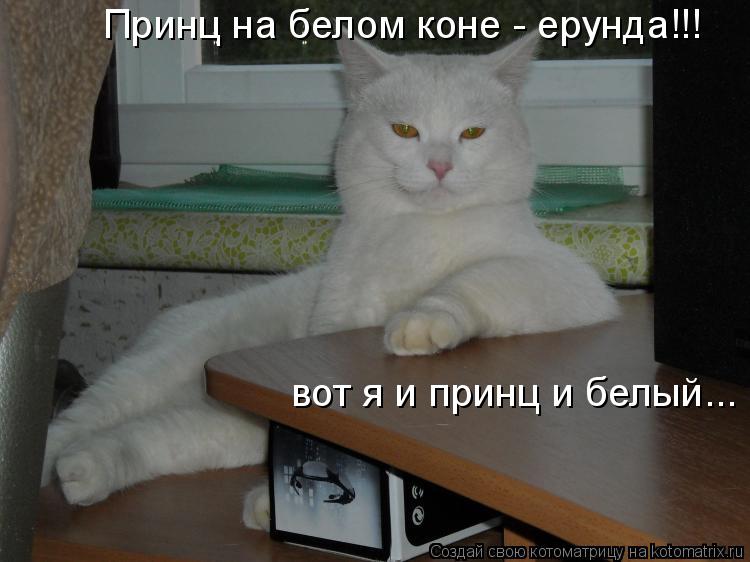 вот я и принц и белый... Принц на белом коне - ерунда!!!... Котоматрица: вот я и принц и белый... Принц на белом коне - ерунда!!!
