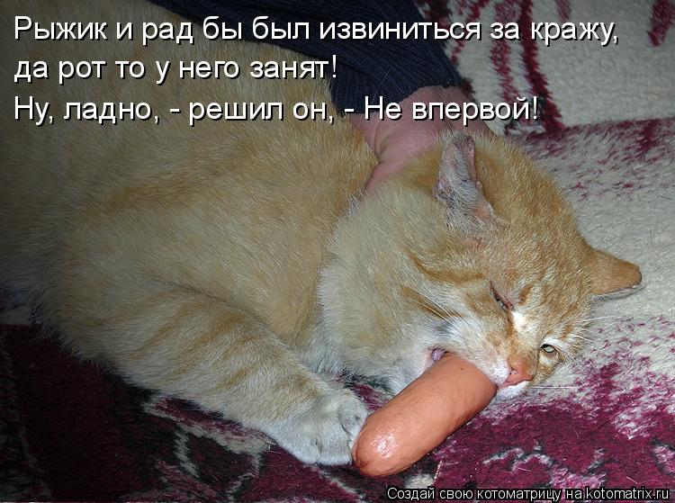 Рыжик и рад бы был извиниться за кражу, да рот то у него занят! Ну, ладно, - решил он, - Не впервой... Котоматрица: Рыжик и рад бы был извиниться за кражу, да рот то у него занят! Ну, ладно, - решил он, - Не впервой!