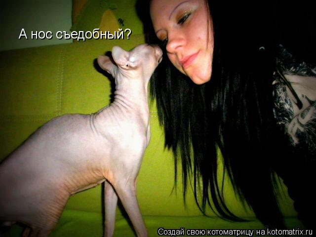 А нос съедобный?... Котоматрица: А нос съедобный?