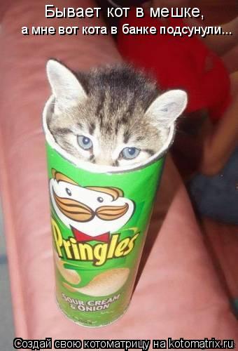 Бывает кот в мешке, а мне вот кота в банке подсунули...... Котоматрица: Бывает кот в мешке, а мне вот кота в банке подсунули...