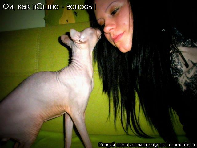 Фи, как пОшло - волосы!... Котоматрица: Фи, как пОшло - волосы!