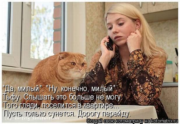 Того гляди, поселится в квартире... Пусть только сунется. Дорогу перейду. Тьфу. Слышать это больше не... Котоматрица: Того гляди, поселится в квартире... Пусть только сунется. Дорогу перейду. Тьфу. Слышать это больше не могу. "Да, милый". "Ну, конечно, милый".