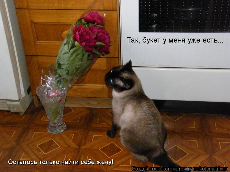 Так, букет у меня уже есть... Осталось только найти себе жену!... Котоматрица: Так, букет у меня уже есть... Осталось только найти себе жену!
