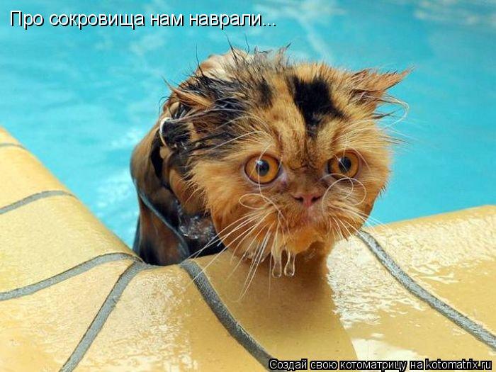 Про сокровища нам наврали...... Котоматрица: Про сокровища нам наврали...