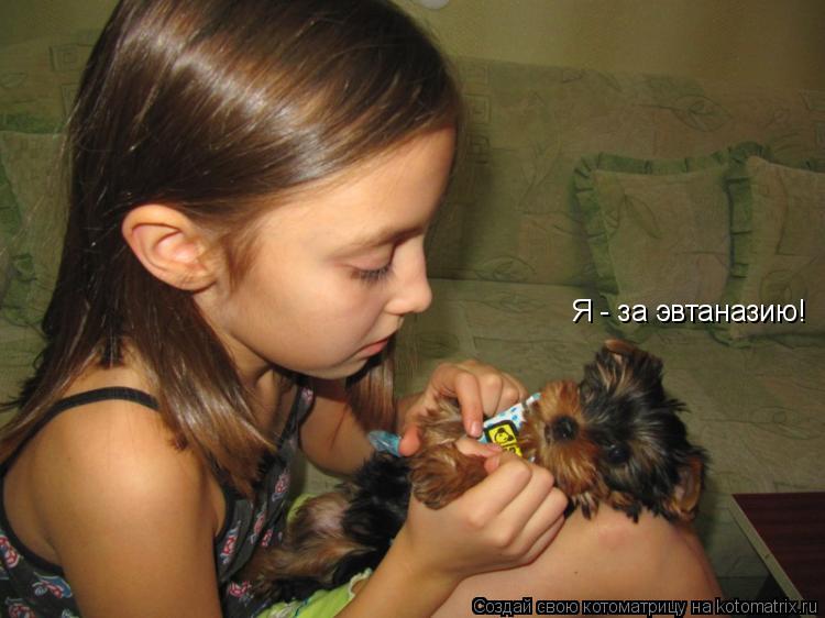 Я - за эвтаназию!... Котоматрица: Я - за эвтаназию!