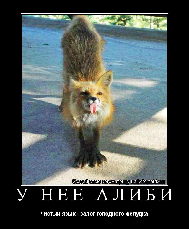 у нее алиби чистый язык - залог голодного желудка... Котоматрица: у нее алиби чистый язык - залог голодного желудка