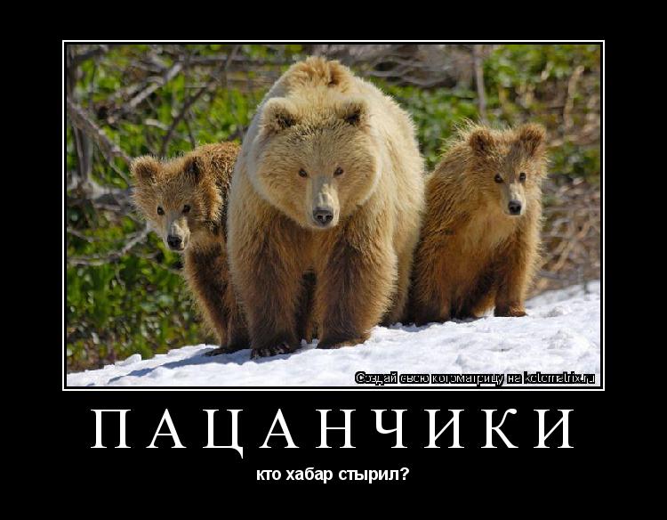 пацанчики кто хабар стырил?... Котоматрица: пацанчики кто хабар стырил?