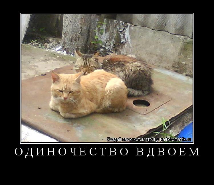 ОДИНОЧЕСТВО ВДВОЁМ ... Котоматрица: ОДИНОЧЕСТВО ВДВОЁМ