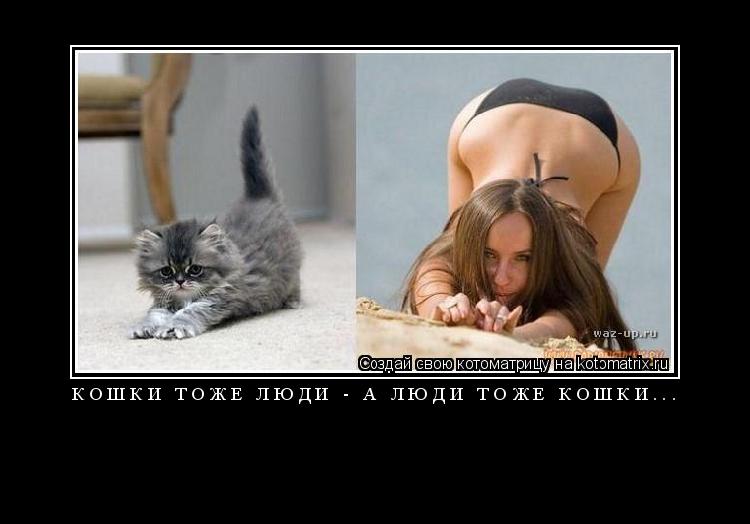 Котоматрица: Кошки тоже люди - А люди тоже кошки... 