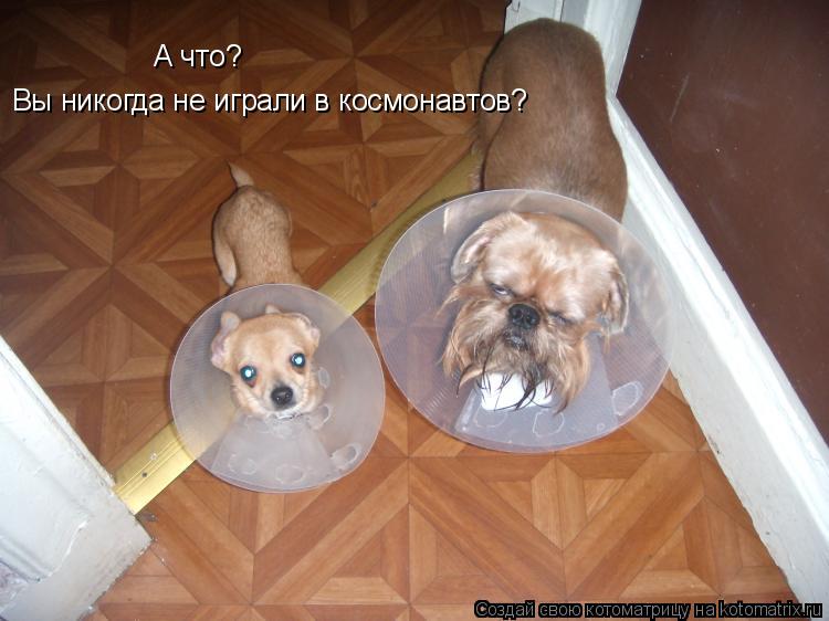 А что? Вы никогда не играли в космонавтов?... Котоматрица: А что? Вы никогда не играли в космонавтов?