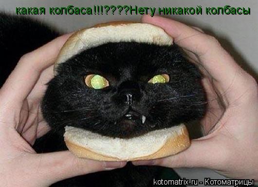 какая колбаса!!!????Нету никакой колбасы... Котоматрица: какая колбаса!!!????Нету никакой колбасы