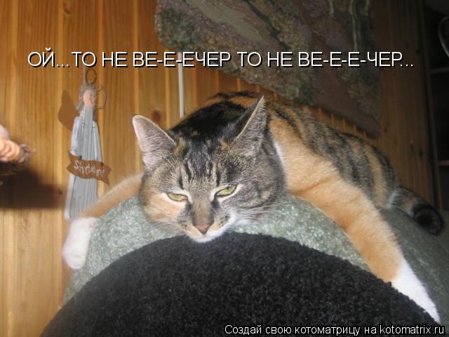 ОЙ...ТО НЕ ВЕ-Е-ЕЧЕР ТО НЕ ВЕ-Е-Е-ЧЕР...... Котоматрица: ОЙ...ТО НЕ ВЕ-Е-ЕЧЕР ТО НЕ ВЕ-Е-Е-ЧЕР...
